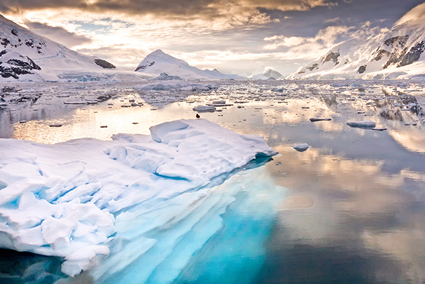 Iceburgs in Antarctica